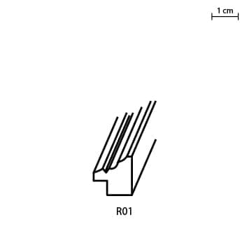 R01.jpg