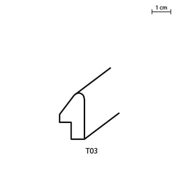 T03.jpg