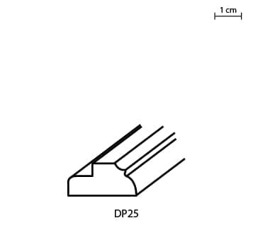 DP25.jpg