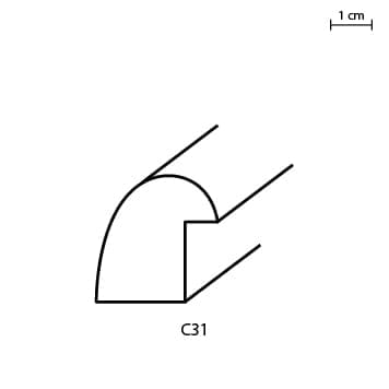 C31.jpg