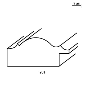 981.jpg