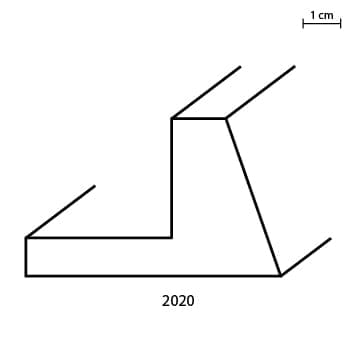 2020.jpg