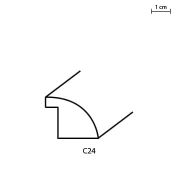 C24.jpg