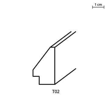 T02.jpg